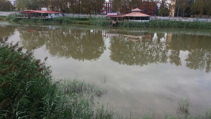 آلودگی آب رودخانه بابلرود همچنان ادامه دارد.
