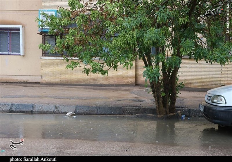 وضعیت غیرقابل تحمل در شهرک شکوه کرمان /‌ خیابان‌ها‌ غرق در فاضلاب‌ /‌ گلایه اهالی‌ از بی‌توجهی مسئولان‌ + فیلم‌