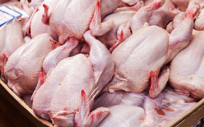روزانه ۵۲ تُن مرغ گرم در قم توزیع می‌شود