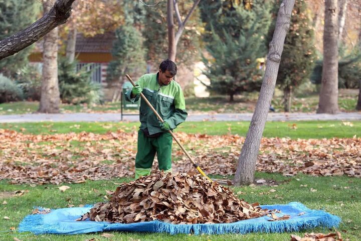 جمع‌آوری دو هزار تن برگ پاییزی در اصفهان