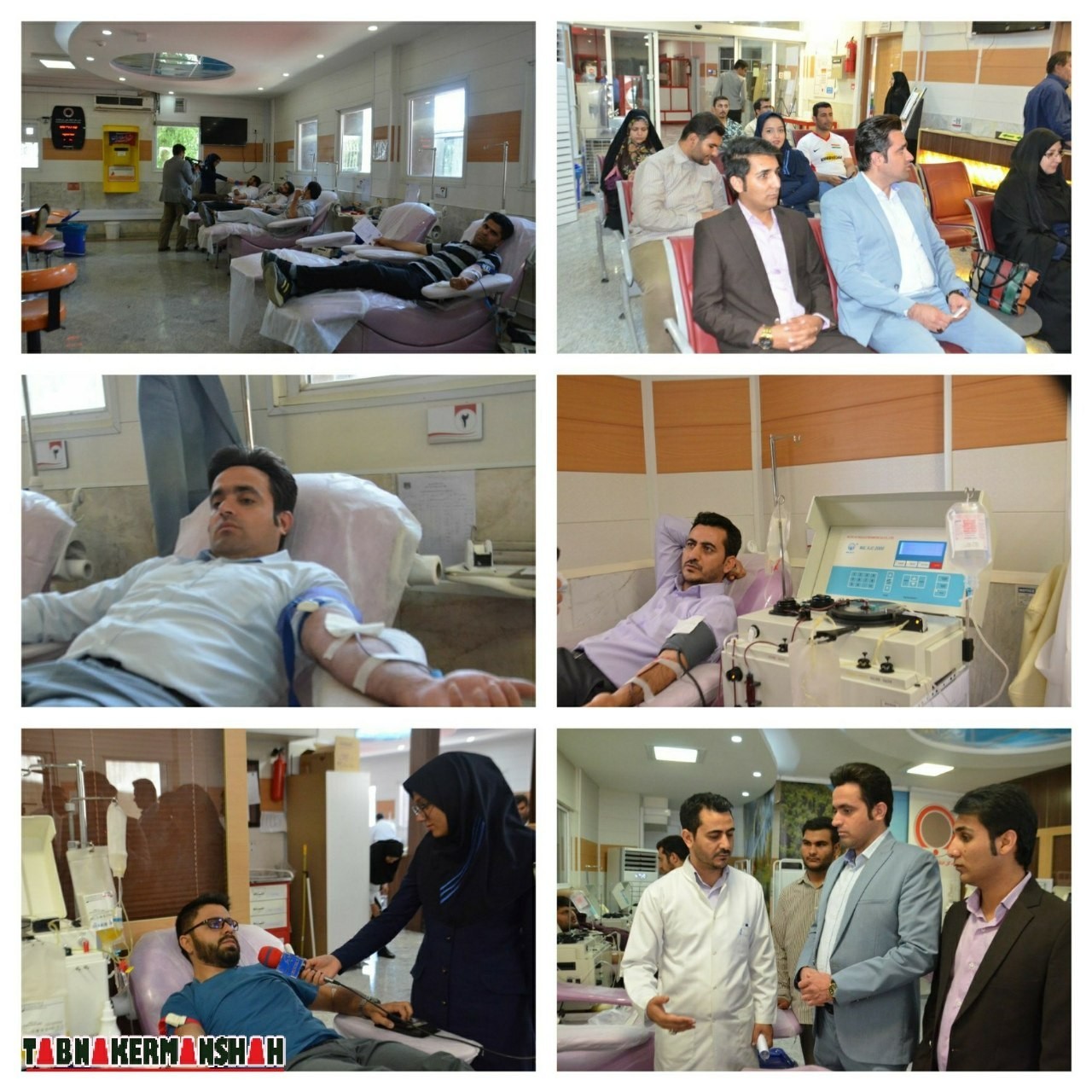 تابناکیها پلاسما و خون اهدا کردند