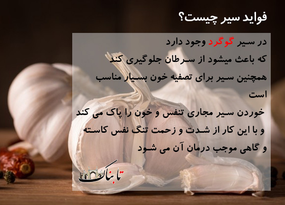 فواید سیر چیست؟