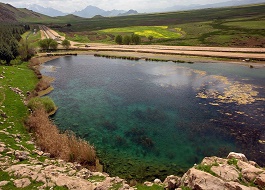 حال تالاب ها و زیستگاه های آبی استان خوب است