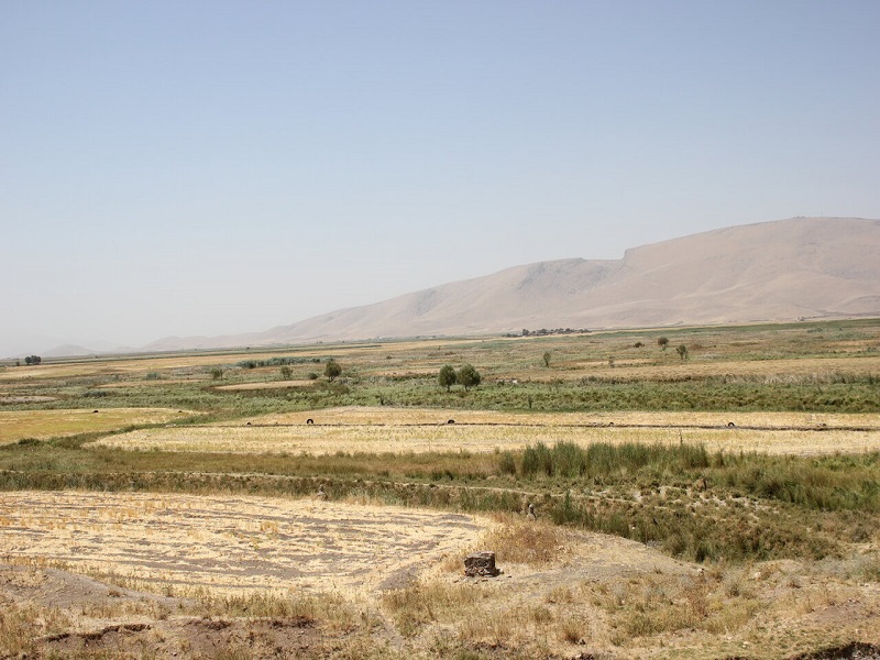 شمارش معکوس برای خشکی تنها تالاب کرمانشاه