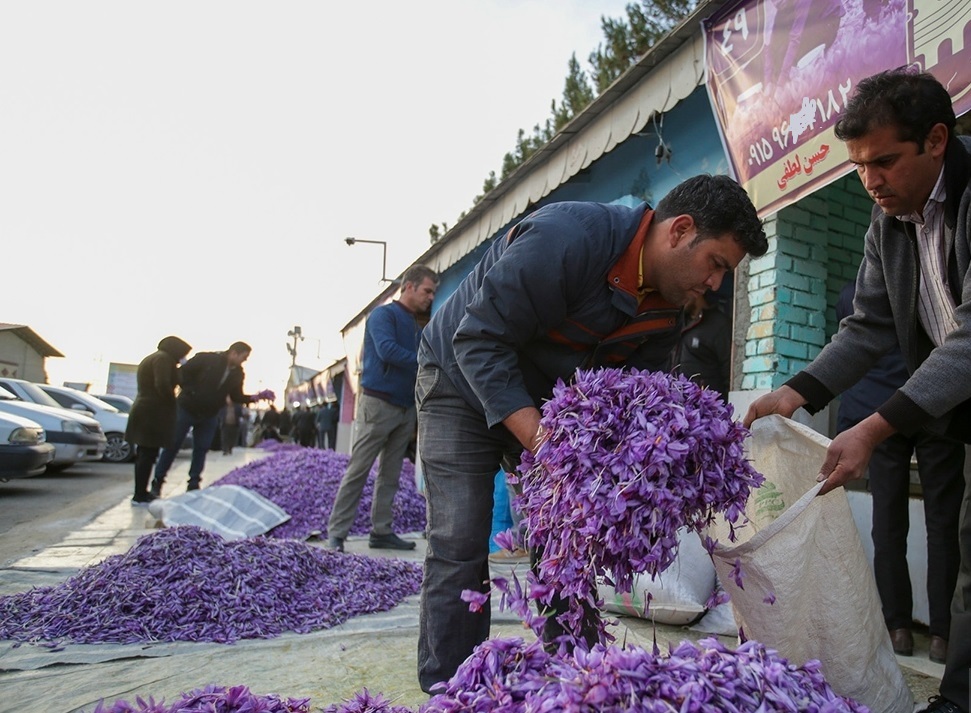بازار گل زعفران در تربت‌حیدریه افتتاح شد