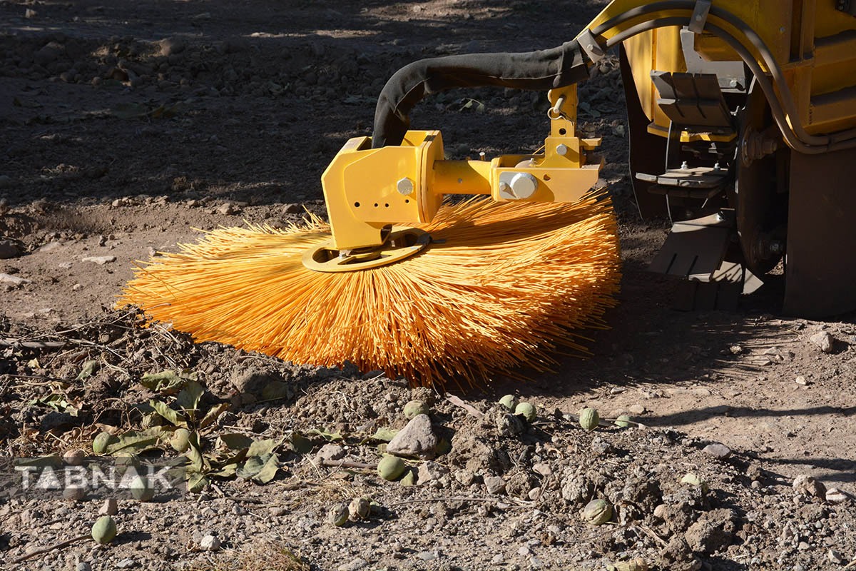 برداشت گردو اصلاح شده با دستگاه مکانیزه برداشت گردو اصلاح شده با دستگاه مکانیزه
