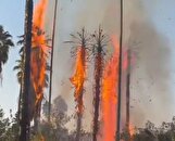 آتش در قلب چشمه بلقیس؛ از روایت‌های متناقض تا ورود دستگاه قضایی