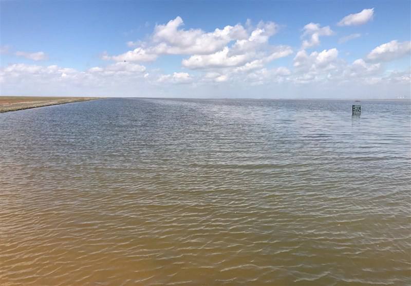 احیای تالاب اللهآباد قزوین در مسیر عملیاتی شدن احیای تالاب اللهآباد قزوین در مسیر عملیاتی شدن