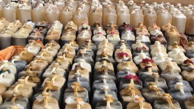 کشف بیش از ۲۰ هزار لیتر سوخت قاچاق در قصرشیرین کشف بیش از ۲۰ هزار لیتر سوخت قاچاق در قصرشیرین