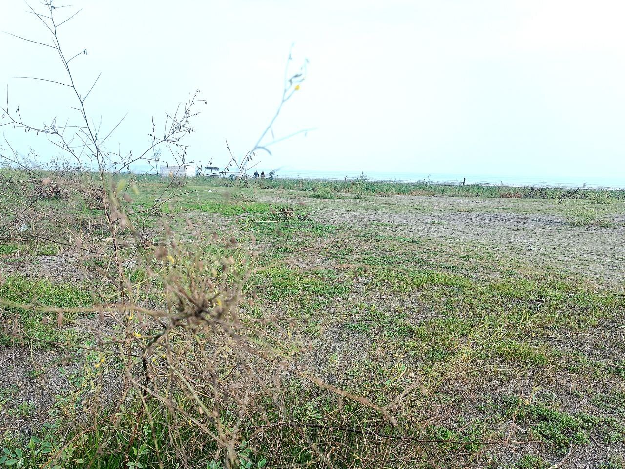 عقب‌نشینی ۲۰۰ متری خزر در شمال کشور/هشدار بزرگ برای شمال ایران