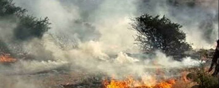 آتشسوزی در جنگل هیرکانی گسترش یافت/ اعزام هواپیمای اطفای حریق بعد از 19 روز! آتشسوزی در جنگل هیرکانی گسترش یافت/ اعزام هواپیمای اطفای حریق بعد از 19 روز!